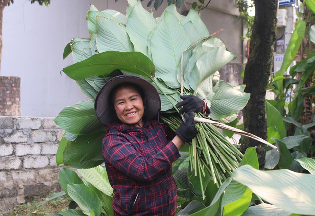 Hồ hởi thu hoạch ngọc xanh, dân Hà Nội kiếm tiền triệu mỗi ngày dịp Tết - 6