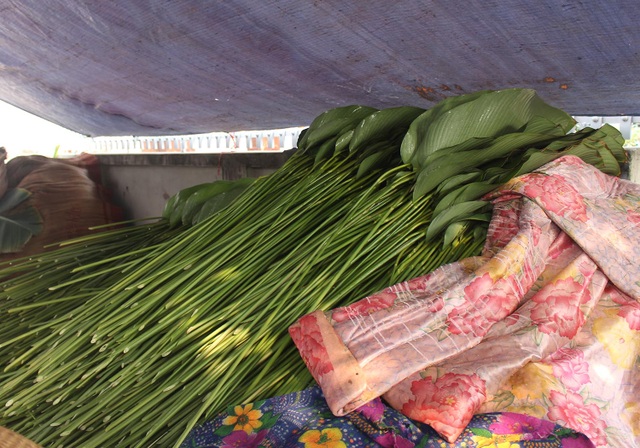 Hồ hởi thu hoạch ngọc xanh, dân Hà Nội kiếm tiền triệu mỗi ngày dịp Tết - 11