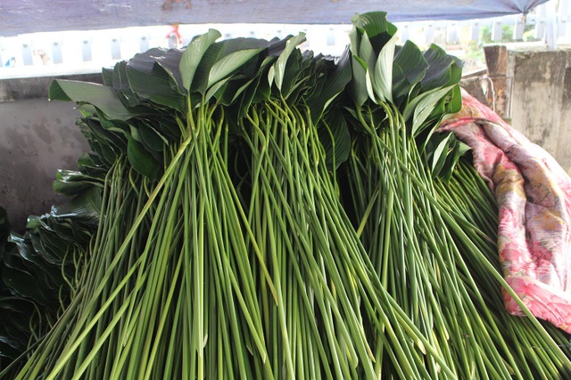 Hồ hởi thu hoạch ngọc xanh, dân Hà Nội kiếm tiền triệu mỗi ngày dịp Tết - 5