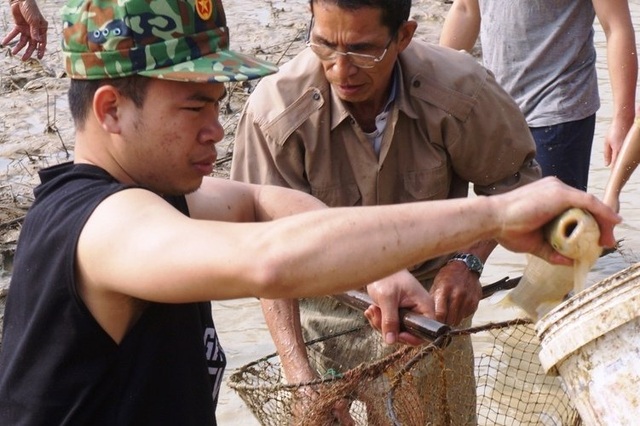 Giáp Tết, bội thu nhờ nuôi cá vụ 3 thay trồng lúa - 7 Giáp Tết, bội thu nhờ nuôi cá vụ 3 thay trồng lúa - 7
