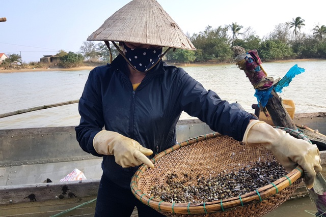 Gần Tết, người dân bắt đặc sản đáy sông kiếm 300-400 ngàn đồng/ngày - 8 Gần Tết, người dân bắt đặc sản đáy sông kiếm 300-400 ngàn đồng/ngày - 8