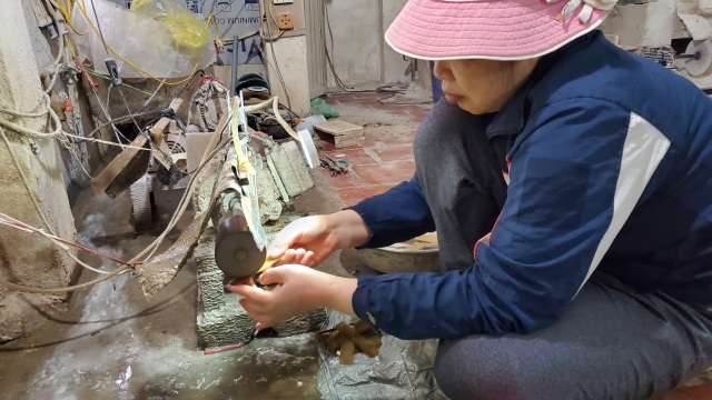 Hà Nội: Thu tiền triệu từ chế tác sừng trâu ngày giáp Tết Tân Sửu - 1 Hà Nội: Thu tiền triệu từ chế tác sừng trâu ngày giáp Tết Tân Sửu - 1