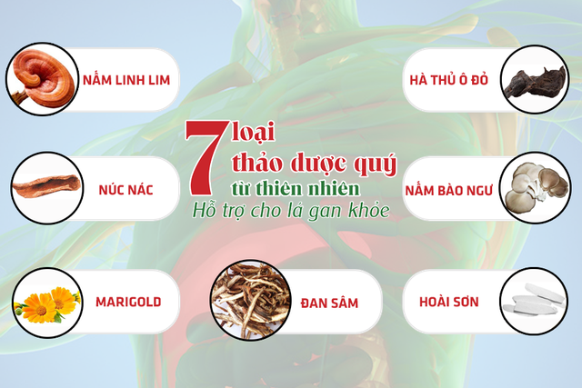 Thêm giải pháp mới từ DHG Pharma giúp giữ gìn lá gan khỏe cho người Việt - 1 Thêm giải pháp mới từ DHG Pharma giúp giữ gìn lá gan khỏe cho người Việt - 1