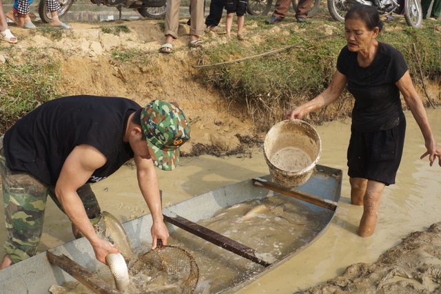 Giáp Tết, bội thu nhờ nuôi cá vụ 3 thay trồng lúa - 1 Giáp Tết, bội thu nhờ nuôi cá vụ 3 thay trồng lúa - 1