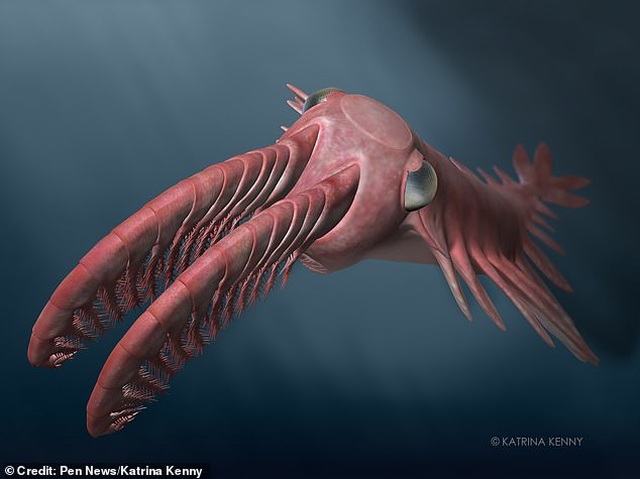 Quái vật kỳ dị cổ đại, vòi như đuôi tôm và đôi mắt nhìn thấu đại dương - 2