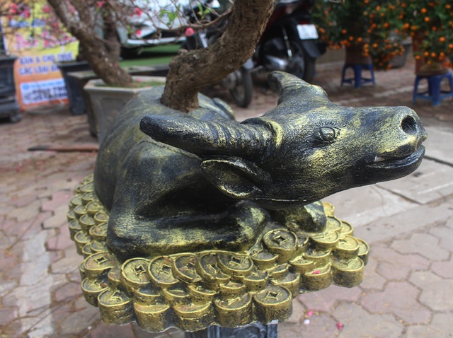 Tết chơi sang, xuống tay 2 triệu đồng mua trâu đen cõng hoa đào - 10 Tết chơi sang, xuống tay 2 triệu đồng mua trâu đen cõng hoa đào - 10