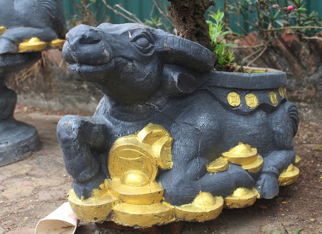 Tết chơi sang, xuống tay 2 triệu đồng mua trâu đen cõng hoa đào - 5 Tết chơi sang, xuống tay 2 triệu đồng mua trâu đen cõng hoa đào - 5