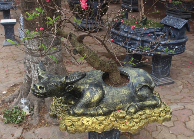 Tết chơi sang, xuống tay 2 triệu đồng mua trâu đen cõng hoa đào - 6 Tết chơi sang, xuống tay 2 triệu đồng mua trâu đen cõng hoa đào - 6