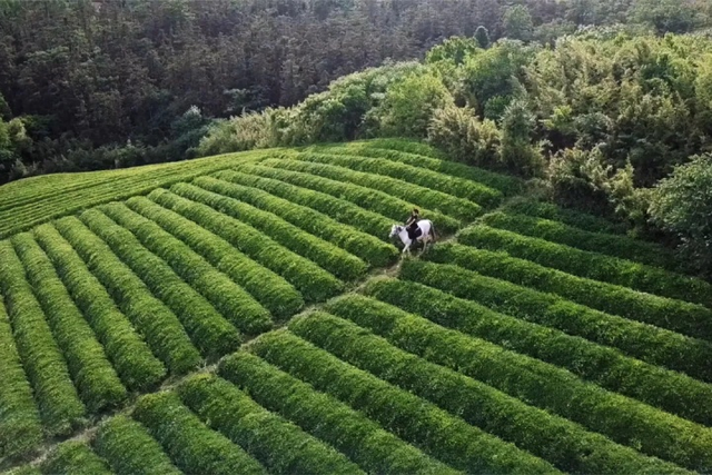 Sau câu nói của bố, cô gái về quê cải tạo nhà nông thôn thành dinh thự - 8 Sau câu nói của bố, cô gái về quê cải tạo nhà nông thôn thành dinh thự - 8