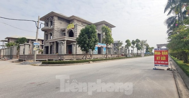 Biệt thự nuôi gà, trồng rau ngoại thành Hà Nội bất ngờ được thổi giá dựng ngược - 21 Biệt thự nuôi gà, trồng rau ngoại thành Hà Nội bất ngờ được thổi giá dựng ngược - 21