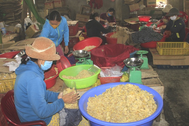 Sát Tết, làng nghề mứt Quảng Trị tất bật vào vụ lớn nhất trong năm - 8 Sát Tết, làng nghề mứt Quảng Trị tất bật vào vụ lớn nhất trong năm - 8
