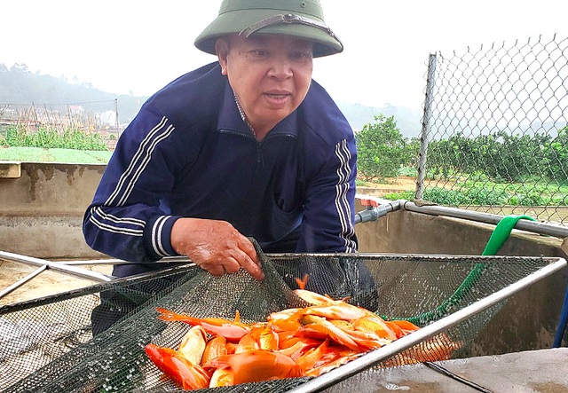 Tet, Mr. Cong, Mr. Tao: Carp farmers accept deposits of hundreds of million VND - 1