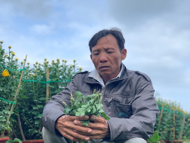 Kẻ xấu đập phá gần 400 chậu hoa Tết, nông dân khóc đứng khóc ngồi - 2 Kẻ xấu đập phá gần 400 chậu hoa Tết, nông dân khóc đứng khóc ngồi - 2