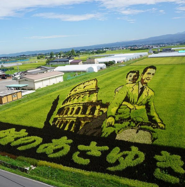 Ngôi làng tạo hình nghệ thuật cho đồng lúa công phu nhất thế giới - 2