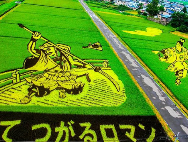 Ngôi làng tạo hình nghệ thuật cho đồng lúa công phu nhất thế giới - 3