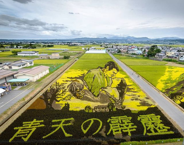 Ngôi làng tạo hình nghệ thuật cho đồng lúa công phu nhất thế giới - 4