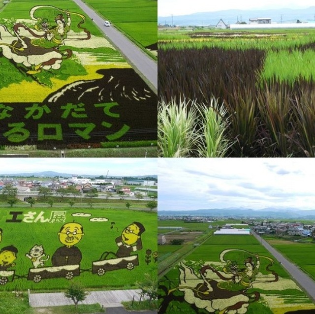 Ngôi làng tạo hình nghệ thuật cho đồng lúa công phu nhất thế giới - 5