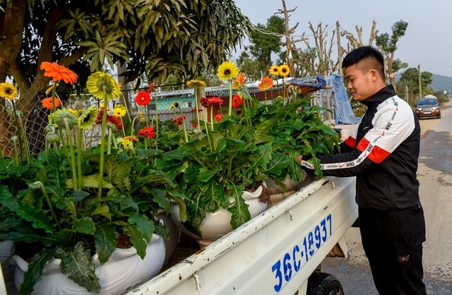 Người dân ăn ngủ cùng hoa ngày cận Tết - 7 Người dân ăn ngủ cùng hoa ngày cận Tết - 7