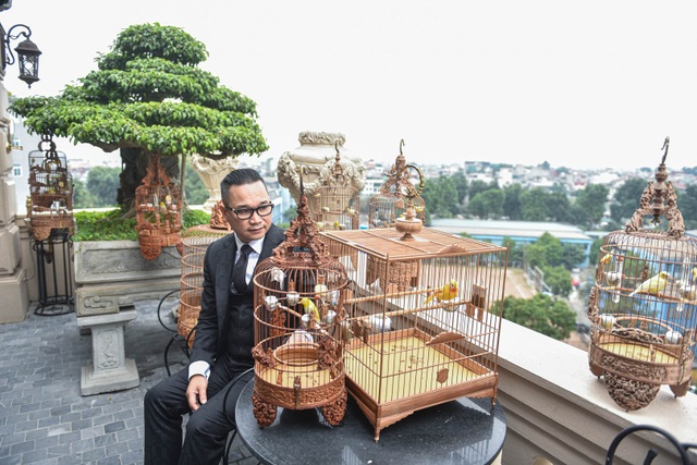 Săn lùng hoàng mào chơi Tết, đại gia thuê hẳn xe riêng đón chim quý về nhà - 6 Săn lùng hoàng mào chơi Tết, đại gia thuê hẳn xe riêng đón chim quý về nhà - 6