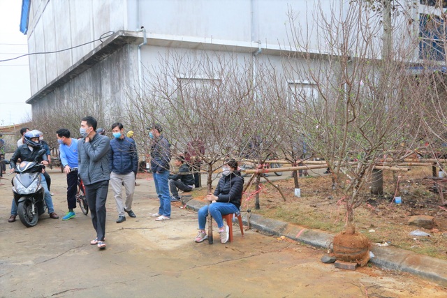 Người dân nô nức rước nàng xuân về nhà khi dịch Covid-19 được khống chế - 7 Người dân nô nức rước nàng xuân về nhà khi dịch Covid-19 được khống chế - 7