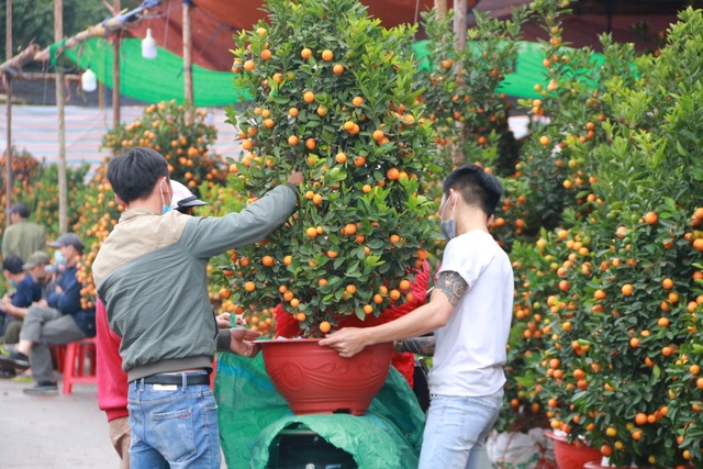 Người dân nô nức rước nàng xuân về nhà khi dịch Covid-19 được khống chế - 5 Người dân nô nức rước nàng xuân về nhà khi dịch Covid-19 được khống chế - 5
