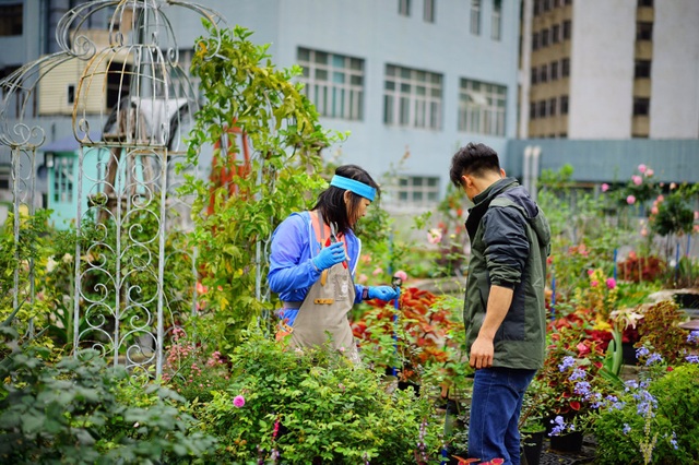 Rủ rê khắp mạng xã hội, anh chàng cùng nhóm bạn tạo vườn hoa giữa trời - 4 Rủ rê khắp mạng xã hội, anh chàng cùng nhóm bạn tạo vườn hoa giữa trời - 4