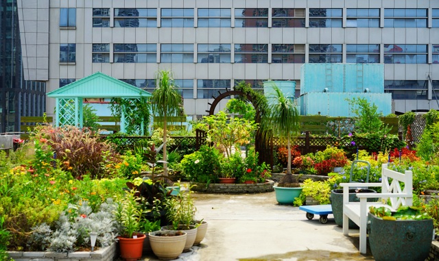 Rủ rê khắp mạng xã hội, anh chàng cùng nhóm bạn tạo vườn hoa giữa trời - 8 Rủ rê khắp mạng xã hội, anh chàng cùng nhóm bạn tạo vườn hoa giữa trời - 8