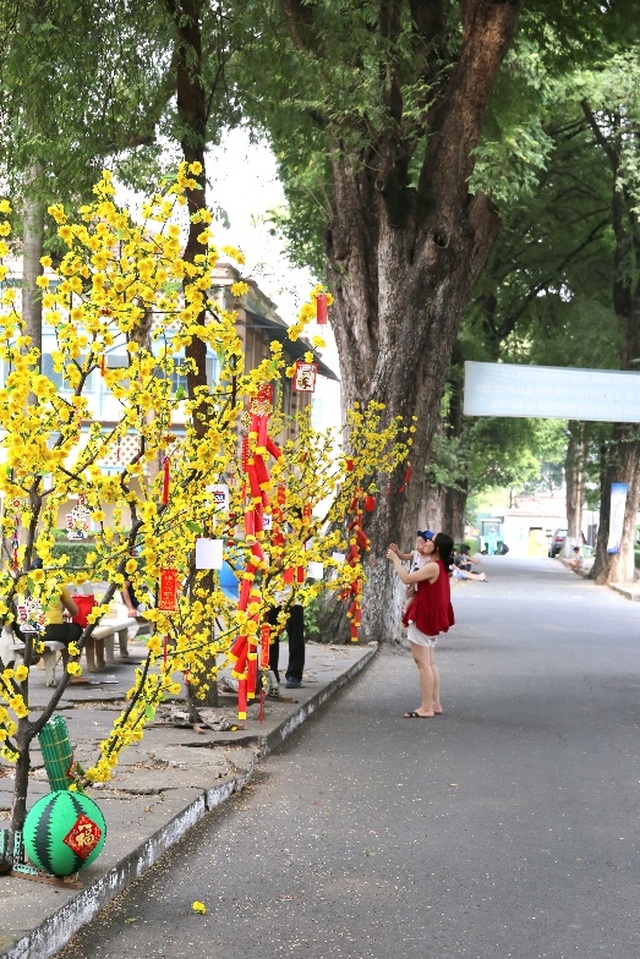 Sơn TOA Việt Nam và sứ mệnh mang mùa xuân yêu thương cho các em nhỏ - 2 Sơn TOA Việt Nam và sứ mệnh mang mùa xuân yêu thương cho các em nhỏ - 2