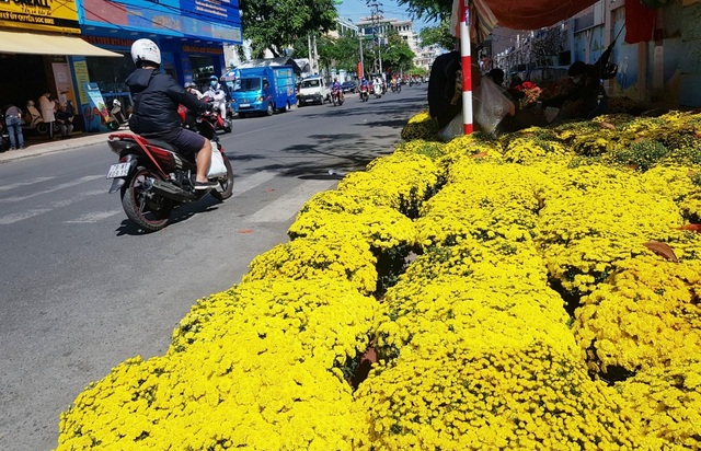 Nha Trang tourist street is filled with spring colors to welcome the New Year's Eve - 4