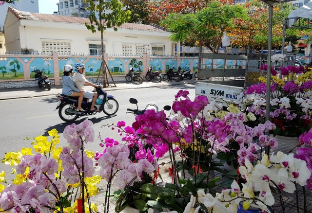 Nha Trang tourist street is full of spring colors to welcome the New Year - 5 Nha Trang tourist street is full of spring colors to welcome the New Year - 5