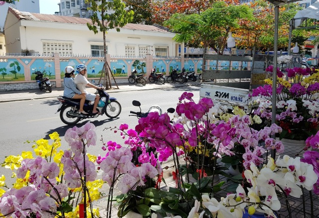 Nha Trang tourist street is full of spring colors to welcome the New Year - 5