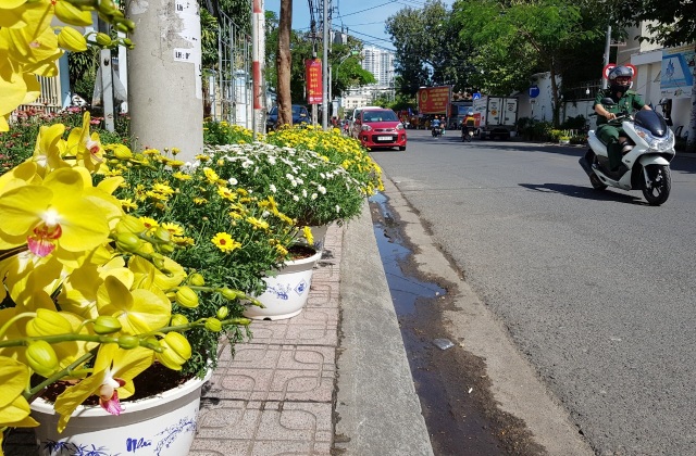 Nha Trang tourist street is filled with spring colors to welcome the New Year's Eve - 3