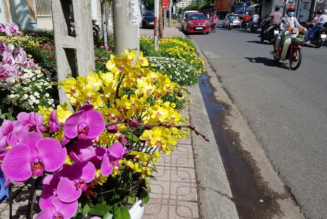 Nha Trang tourist street is filled with spring colors to welcome the New Year of the Year - 6