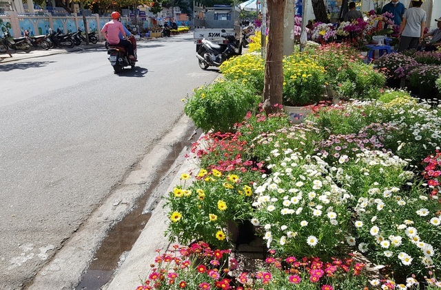 Nha Trang tourist street is flooded with spring colors to welcome the New Year's Eve - 2