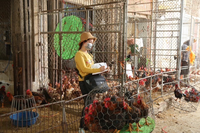 Near Tet, the salesman of the largest poultry market in the North in season - 11