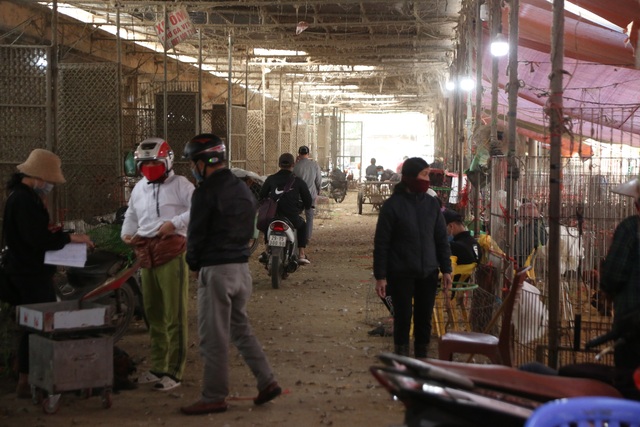 Near Tet, the person who sells the largest poultry market in the North in season - 5