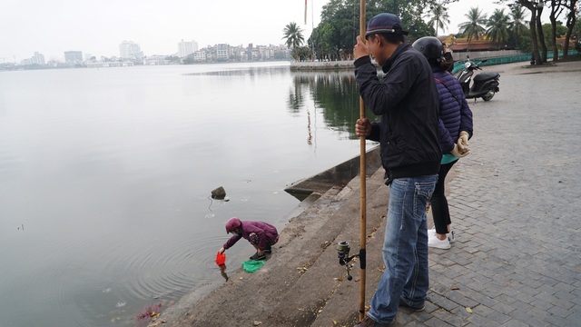 Chưa kịp chầu trời, cá vàng phóng sinh đã thảm hại dưới tay cần thủ - 9 Chưa kịp chầu trời, cá vàng phóng sinh đã thảm hại dưới tay cần thủ - 9