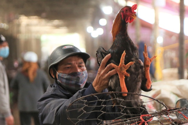 Near Tet, the salesman of the largest poultry market in the North in season - 6