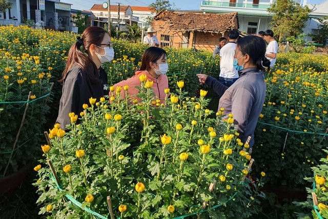 Người dân chung tay giải cứu 400 chậu hoa bị chặt phá - 1 Người dân chung tay giải cứu 400 chậu hoa bị chặt phá - 1