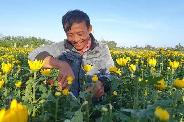 Người dân chung tay giải cứu 400 chậu hoa bị chặt phá - 3 Người dân chung tay giải cứu 400 chậu hoa bị chặt phá - 3