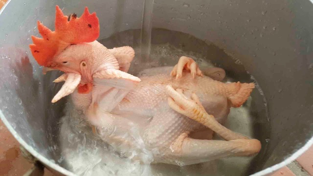 Bí quyết để có gà cúng ông Công ông Táo đẹp mắt - 4 Bí quyết để có gà cúng ông Công ông Táo đẹp mắt - 4