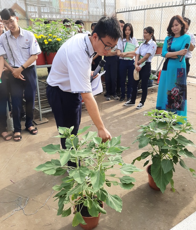 Học tập theo dự án STEM, Tết này em có hoa trưng Tết do chính mình trồng! - 2