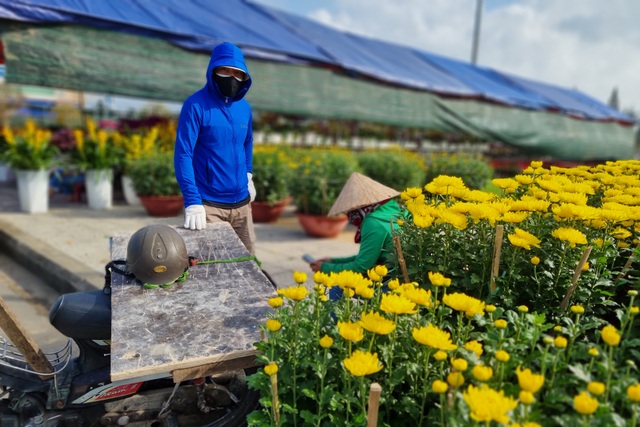 Đà Nẵng: Chợ hoa Tết vắng khách, nghề vận chuyển cũng ế theo - 2 Đà Nẵng: Chợ hoa Tết vắng khách, nghề vận chuyển cũng ế theo - 2