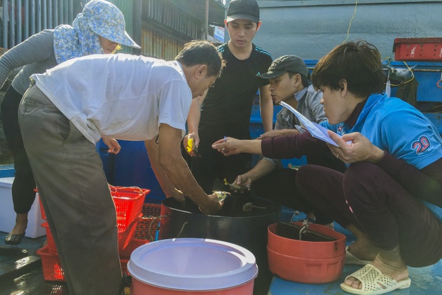 Quảng Ngãi: Nghề lặn biển tìm cá độc đắt hàng dịp Tết - 5 Quảng Ngãi: Nghề lặn biển tìm cá độc đắt hàng dịp Tết - 5