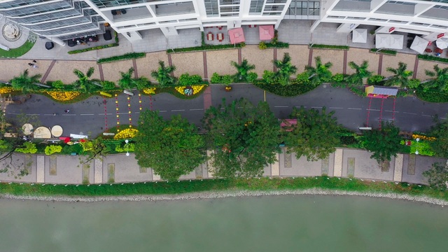Đường hoa xuân Phú Mỹ Hưng.jpg Đường hoa xuân Phú Mỹ Hưng.jpg