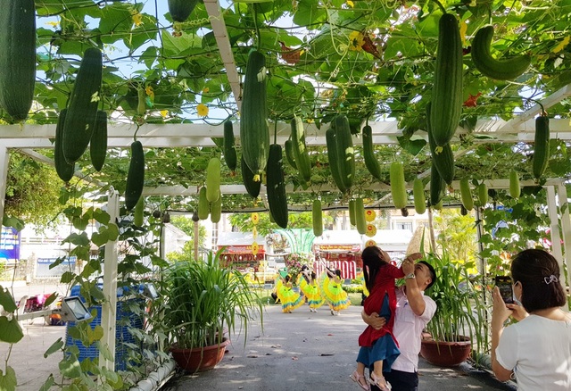 Nha Trang: Sắc hoa rực rỡ bên bờ biển, người dân nhộn nhịp du xuân - 8 Nha Trang: Sắc hoa rực rỡ bên bờ biển, người dân nhộn nhịp du xuân - 8
