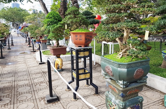 Nha Trang: Colorful flowers on the beach, people bustling spring travel - 4