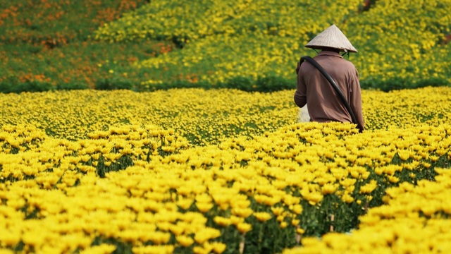 Overwhelmed by the beautiful scenery in the largest flower garden in Dong Nai - 5