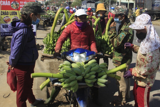Vựa chuối lớn nhất Quảng Trị nhộn nhịp những ngày giáp Tết - 13 Vựa chuối lớn nhất Quảng Trị nhộn nhịp những ngày giáp Tết - 13