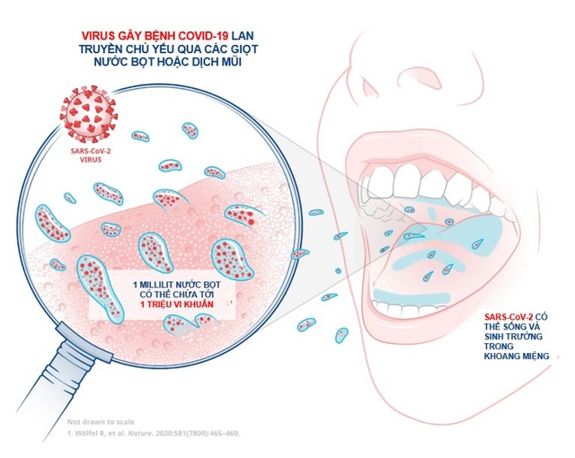 Nghiên cứu của Unilever xác định công nghệ nước súc miệng có thể giảm lây truyền virus Corona - 3